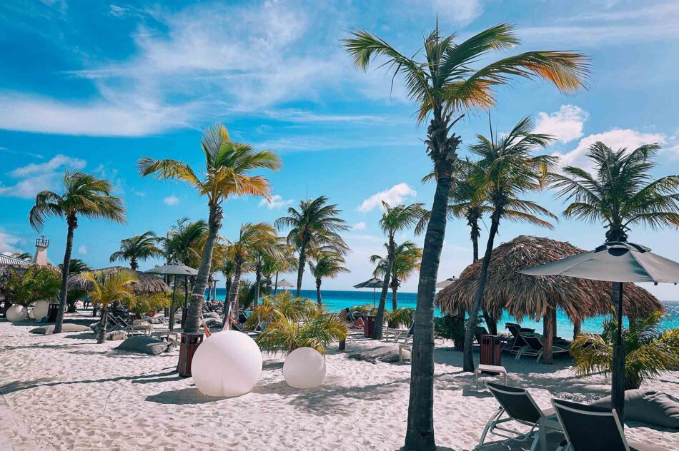 Beach and palm trees