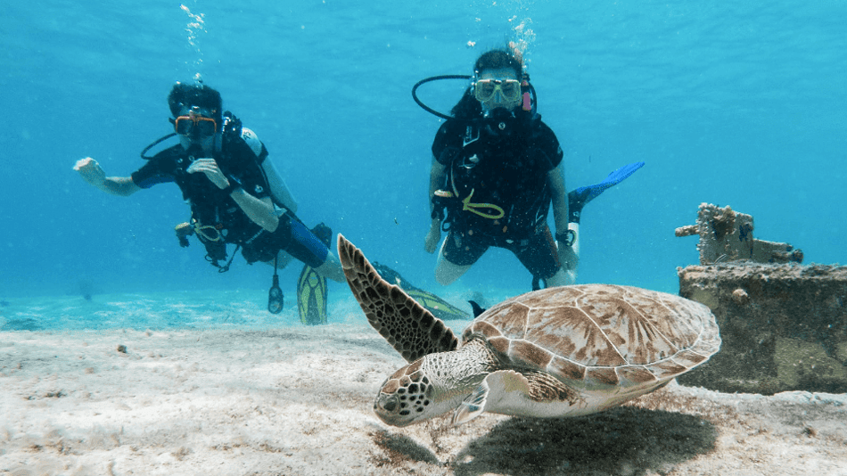 Is Bonaire a good place to dive?